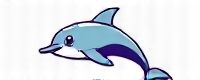 flipper